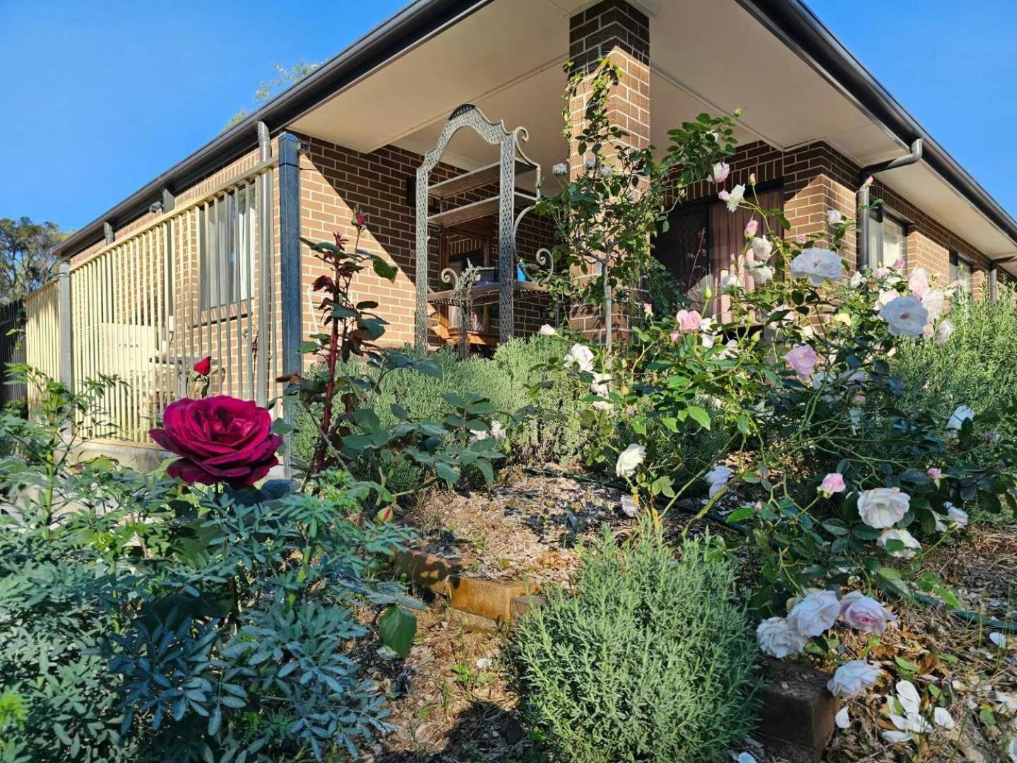 Gowrie Agapanthus Singleton Exterior foto